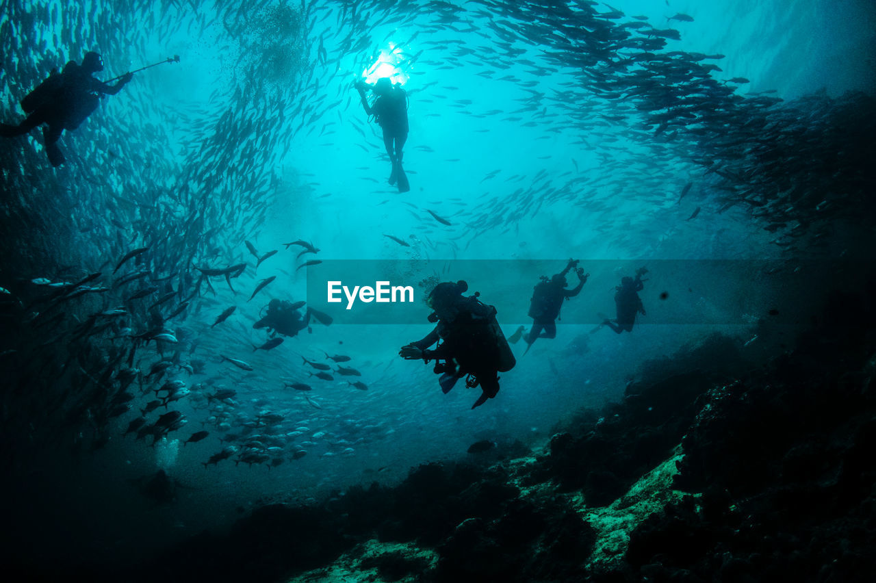 Underwater view of scuba divers swimming with fish in sea