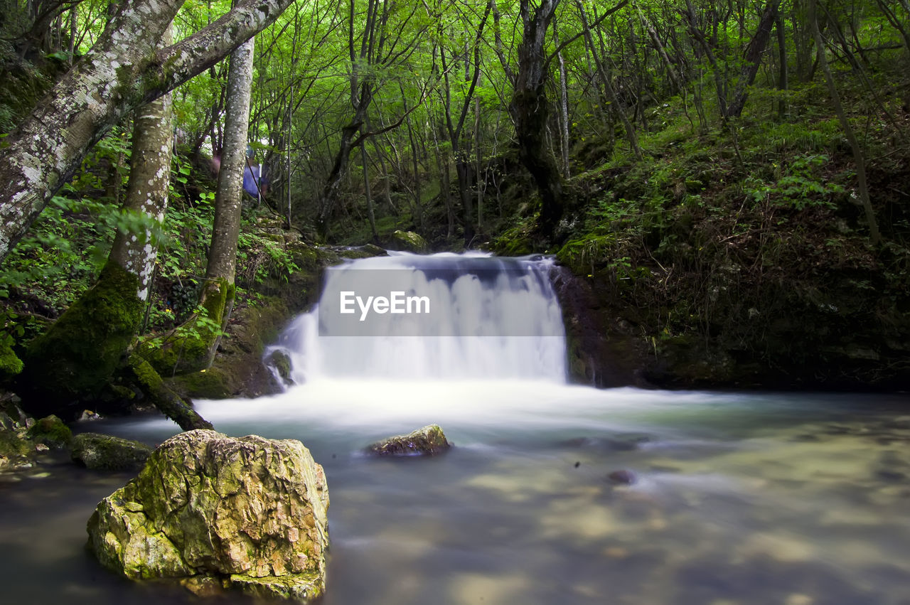 SCENIC VIEW OF WATERFALL