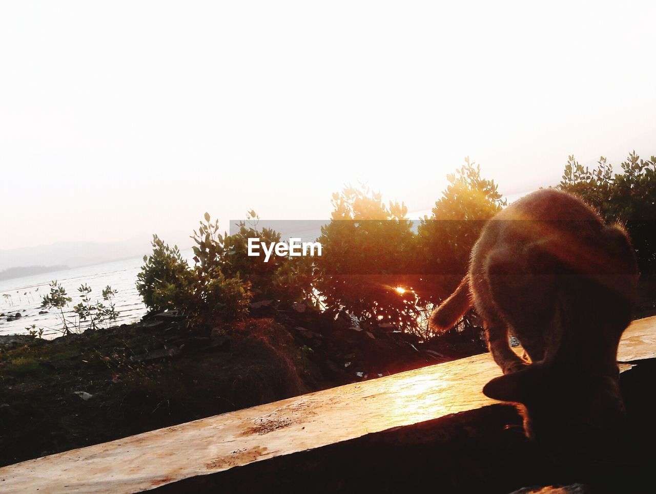 REAR VIEW OF WOMAN LOOKING AT LAKE AGAINST SKY