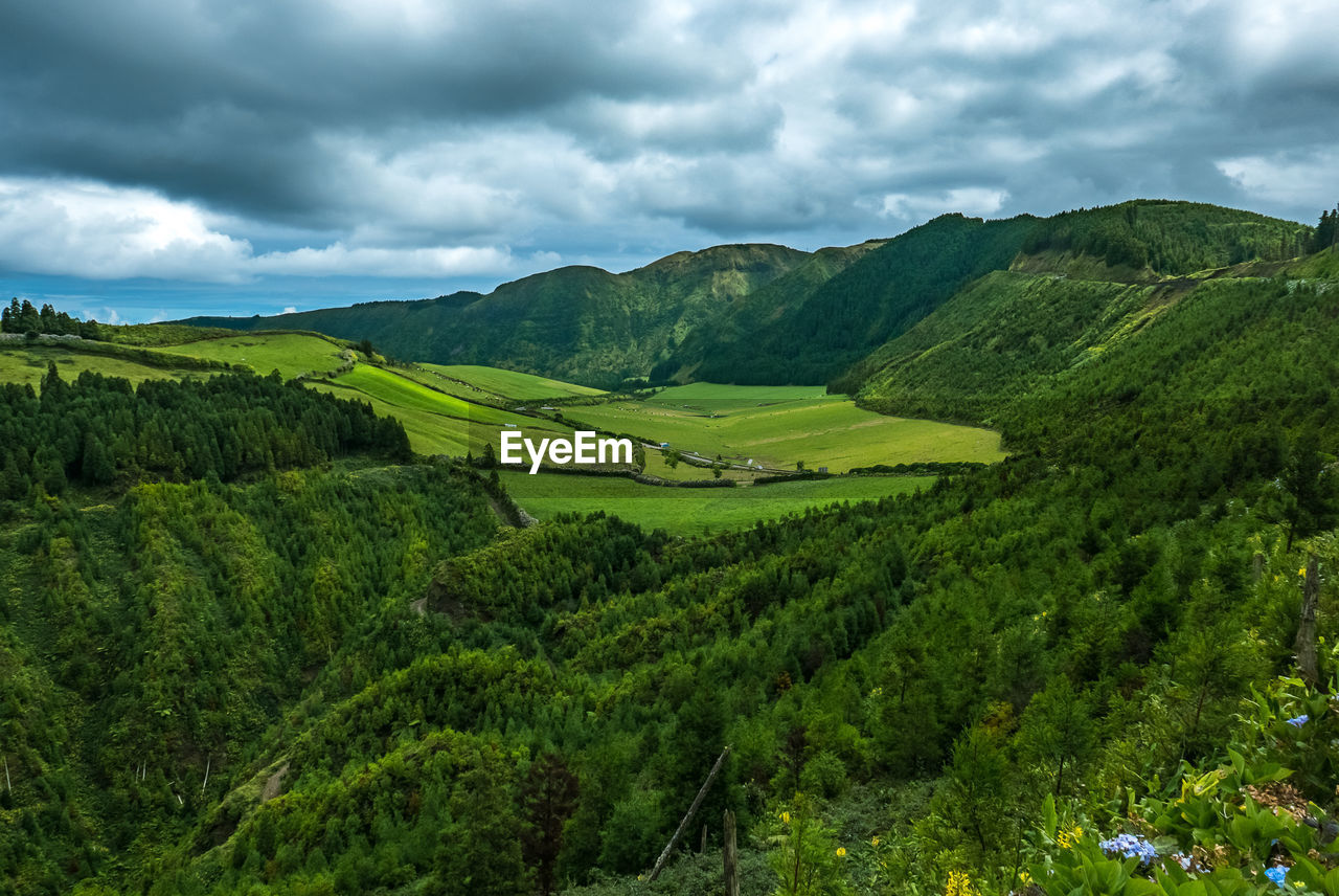 Scenic view of green landscape against sky