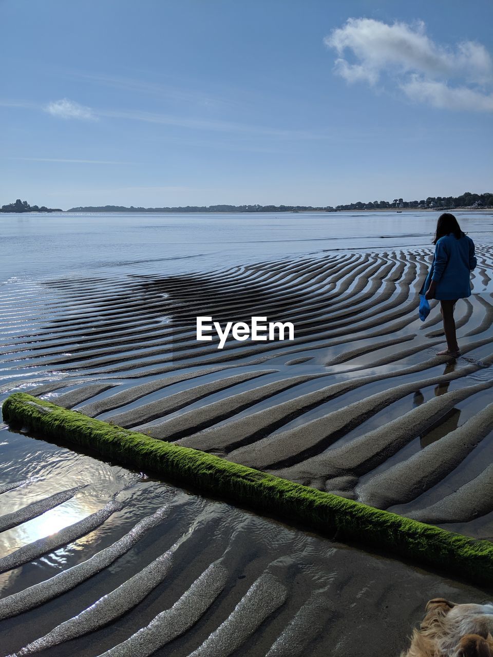 Side view of girl standing at beach against sky