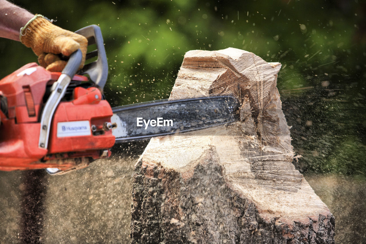 Cropped hand of man sawing tree at forest