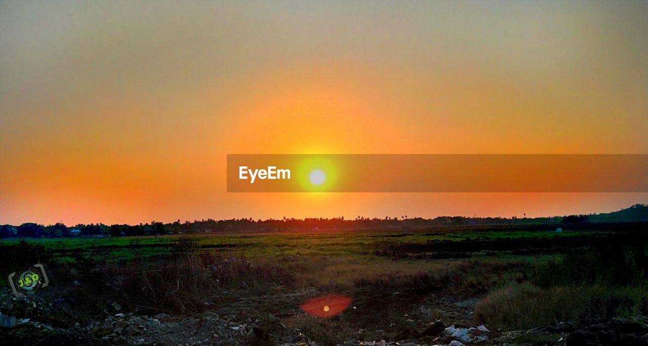 Scenic view of grassy field against sky at sunset