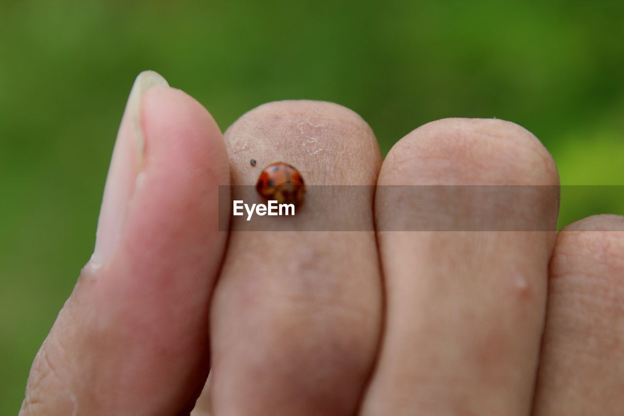 CLOSE-UP OF PERSON HOLDING SMALL HAND