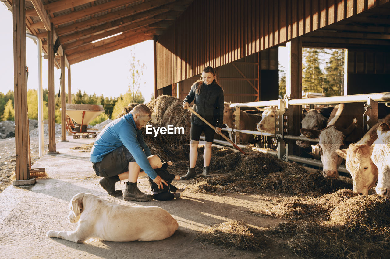 Mother looking at father and son sitting in stable