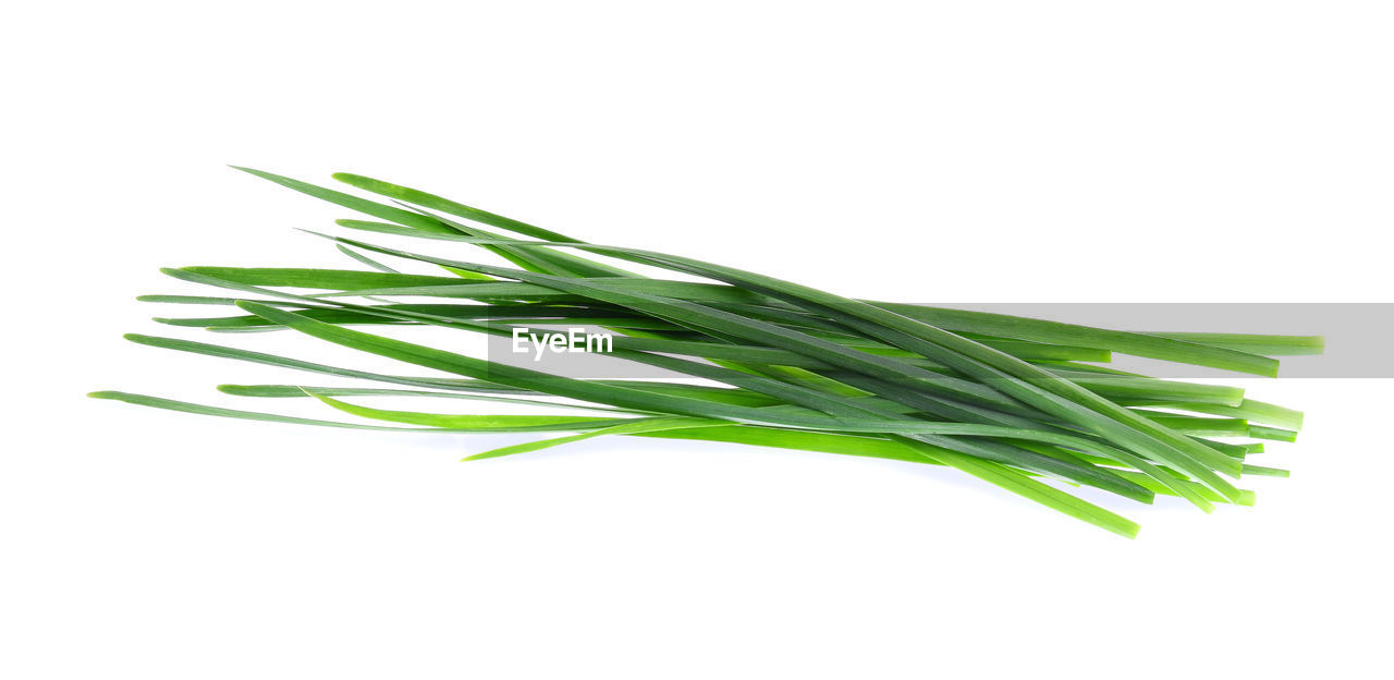 Close-up of vegetables against white background