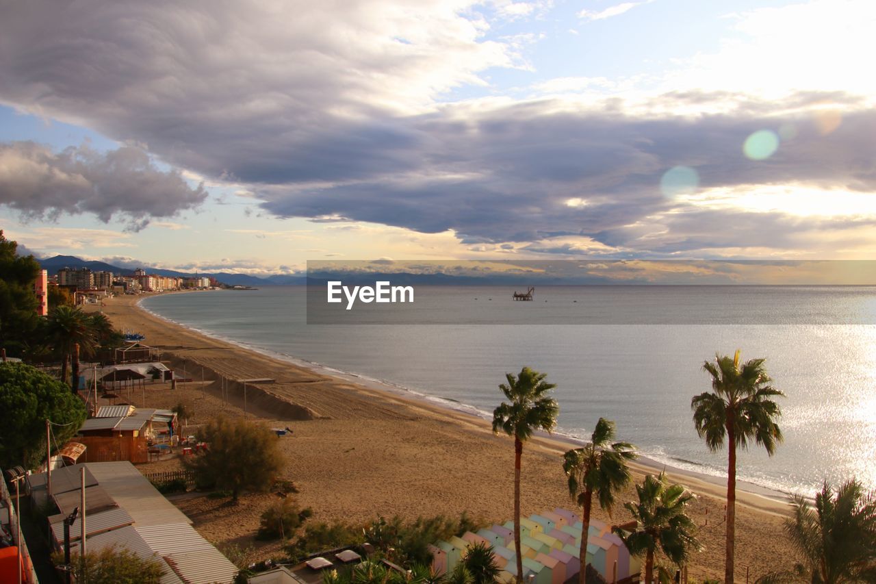 SCENIC VIEW OF SEA AND PALM TREES