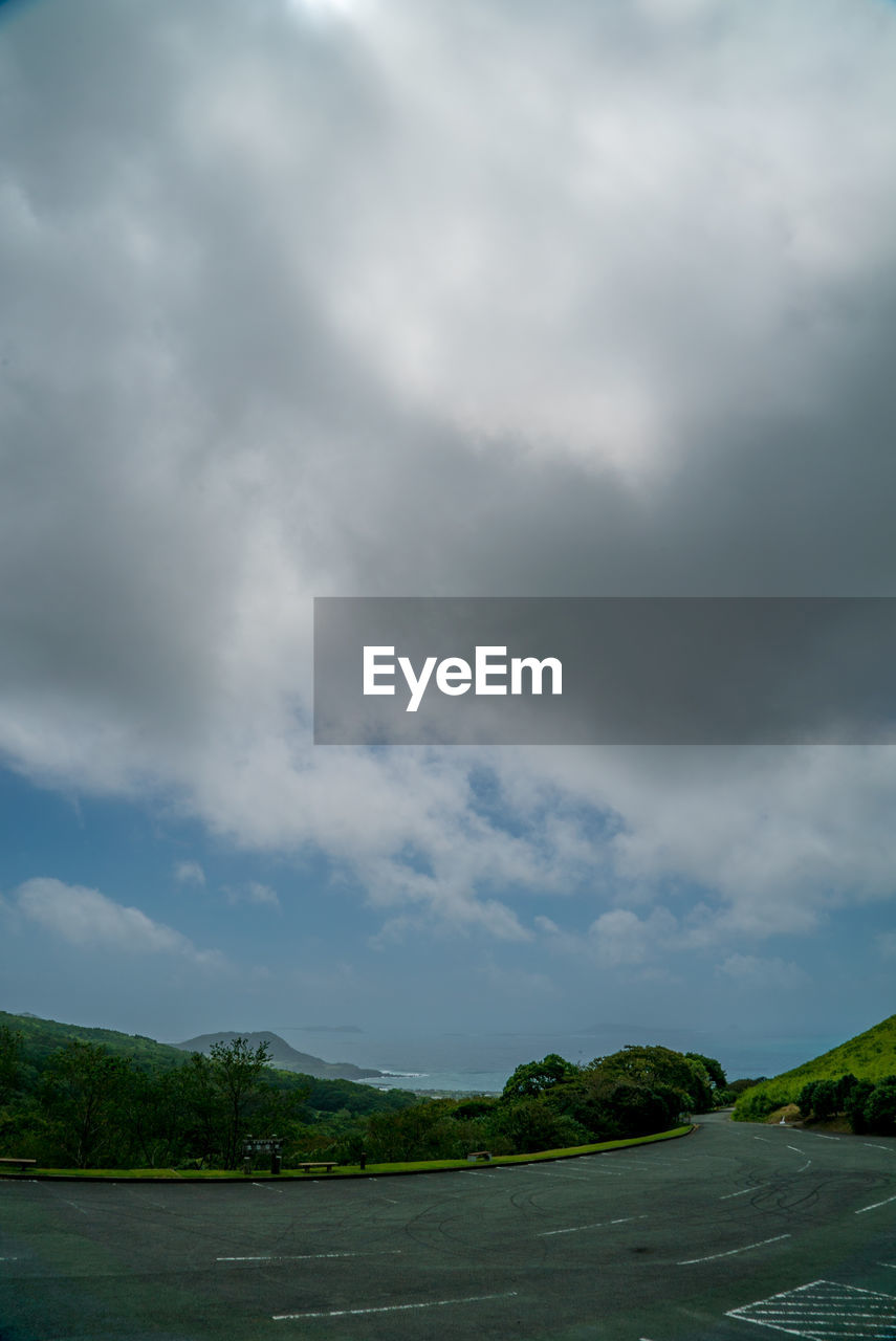 SCENIC VIEW OF TREES AND PLANTS AGAINST SKY