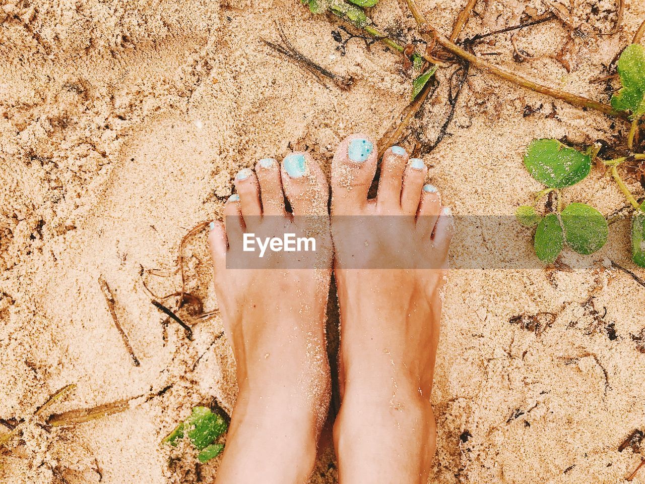 LOW SECTION OF WOMAN FEET ON SAND
