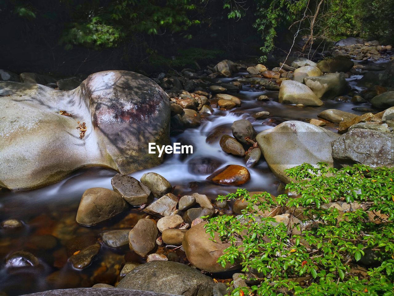 VIEW OF STREAM FLOWING THROUGH ROCKS IN FOREST