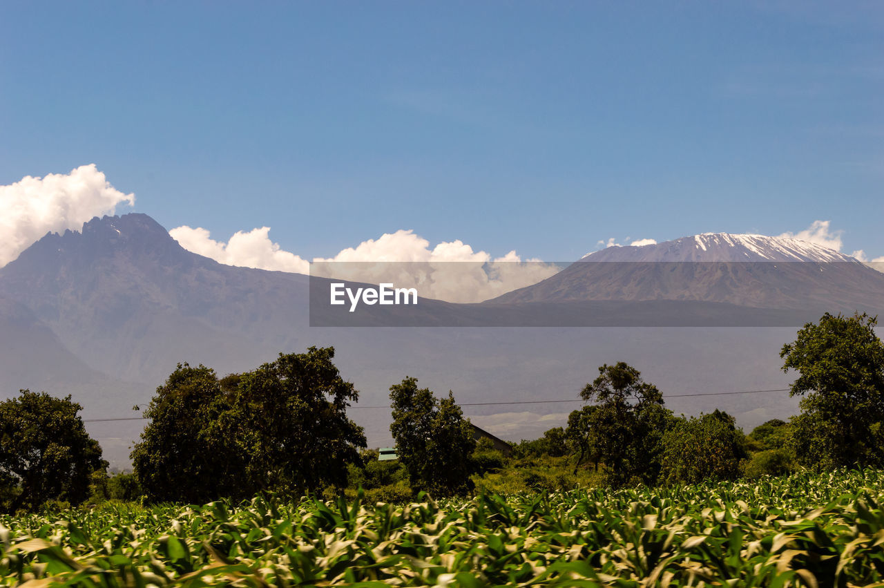 Snow capped kenya's kilimanjaro mountain under cloudy blue sky captured on kenya africa safari.