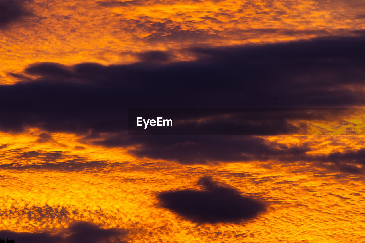 LOW ANGLE VIEW OF ORANGE CLOUDS IN SKY