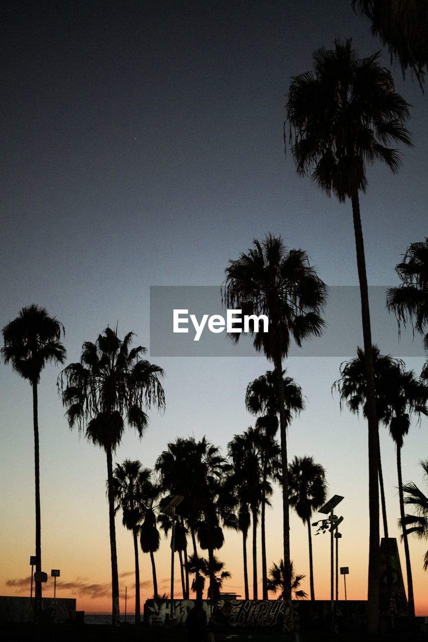 LOW ANGLE VIEW OF SILHOUETTE PALM TREES AGAINST SKY AT SUNSET