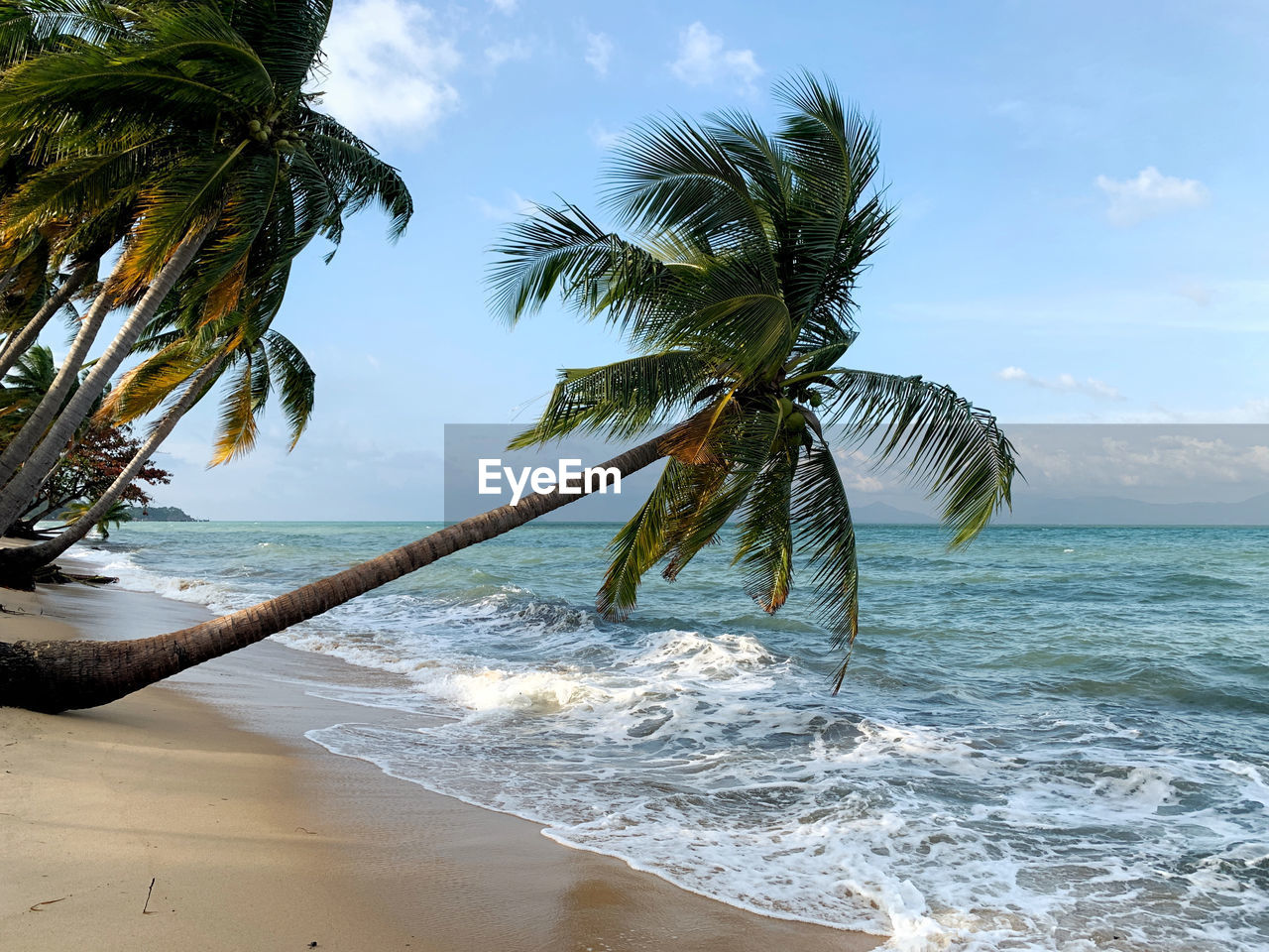 sea, water, beach, land, tropical climate, palm tree, tree, body of water, sky, tropics, beauty in nature, ocean, nature, vacation, scenics - nature, sand, shore, plant, coast, coconut palm tree, wave, horizon over water, tranquility, cloud, horizon, travel destinations, tropical tree, tranquil scene, idyllic, holiday, motion, travel, trip, water sports, outdoors, sports, island, no people, coastline, day, environment, seascape, water's edge, sunlight, tourism, non-urban scene, palm leaf, leaf, coconut, bay, landscape