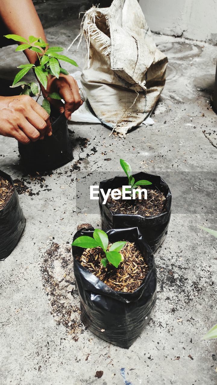 soil, hand, one person, growth, nature, plant, gardening, potted plant, dirt, holding, day, high angle view, adult, planting, lifestyles, outdoors, leaf, seedling, plant part, women, flower, food, men, container, food and drink, botany, sunlight, environment, garden