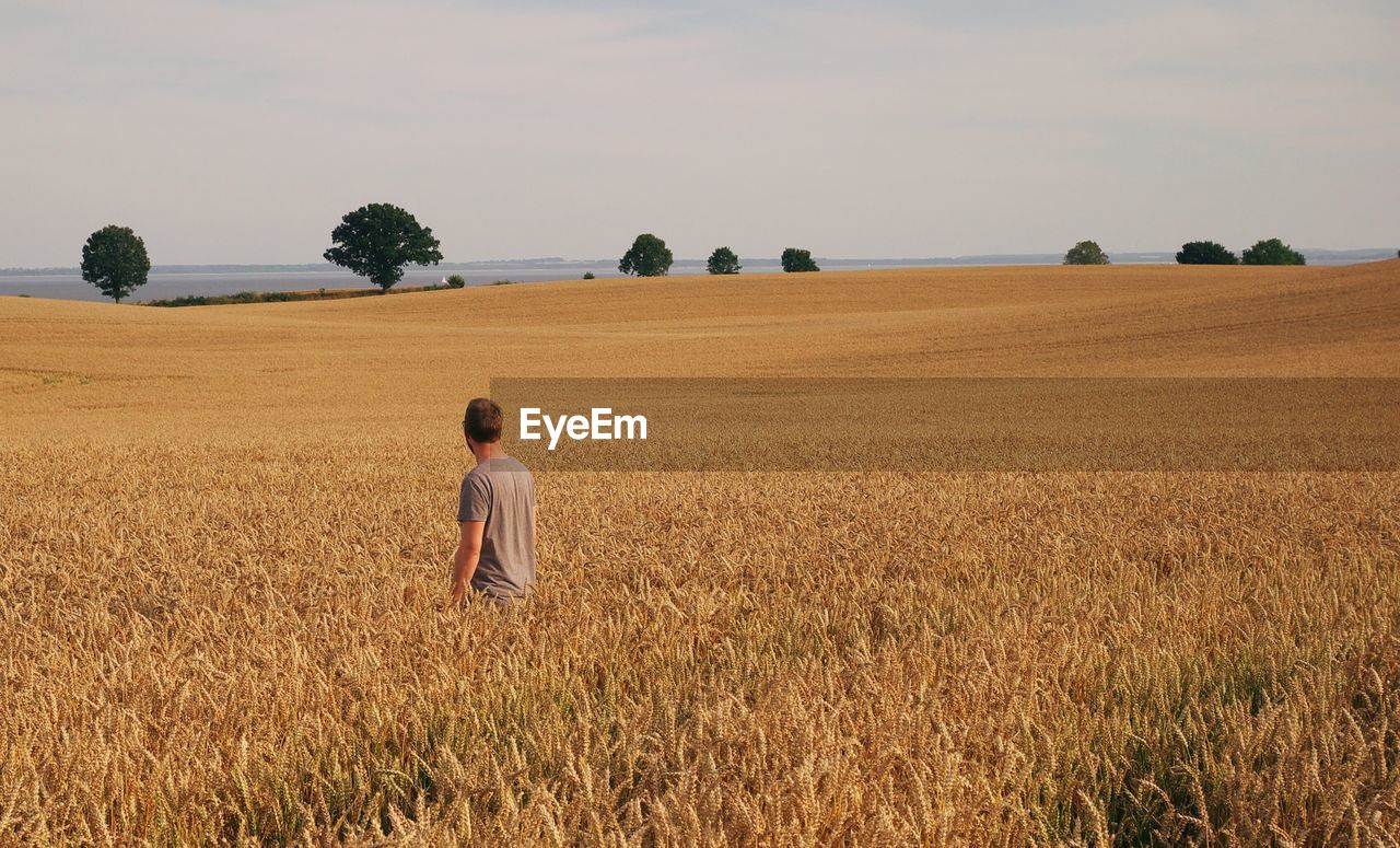 Rear view of man on field against sky