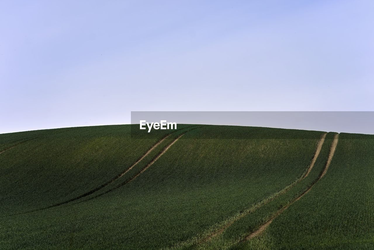 Scenic view of field against clear sky