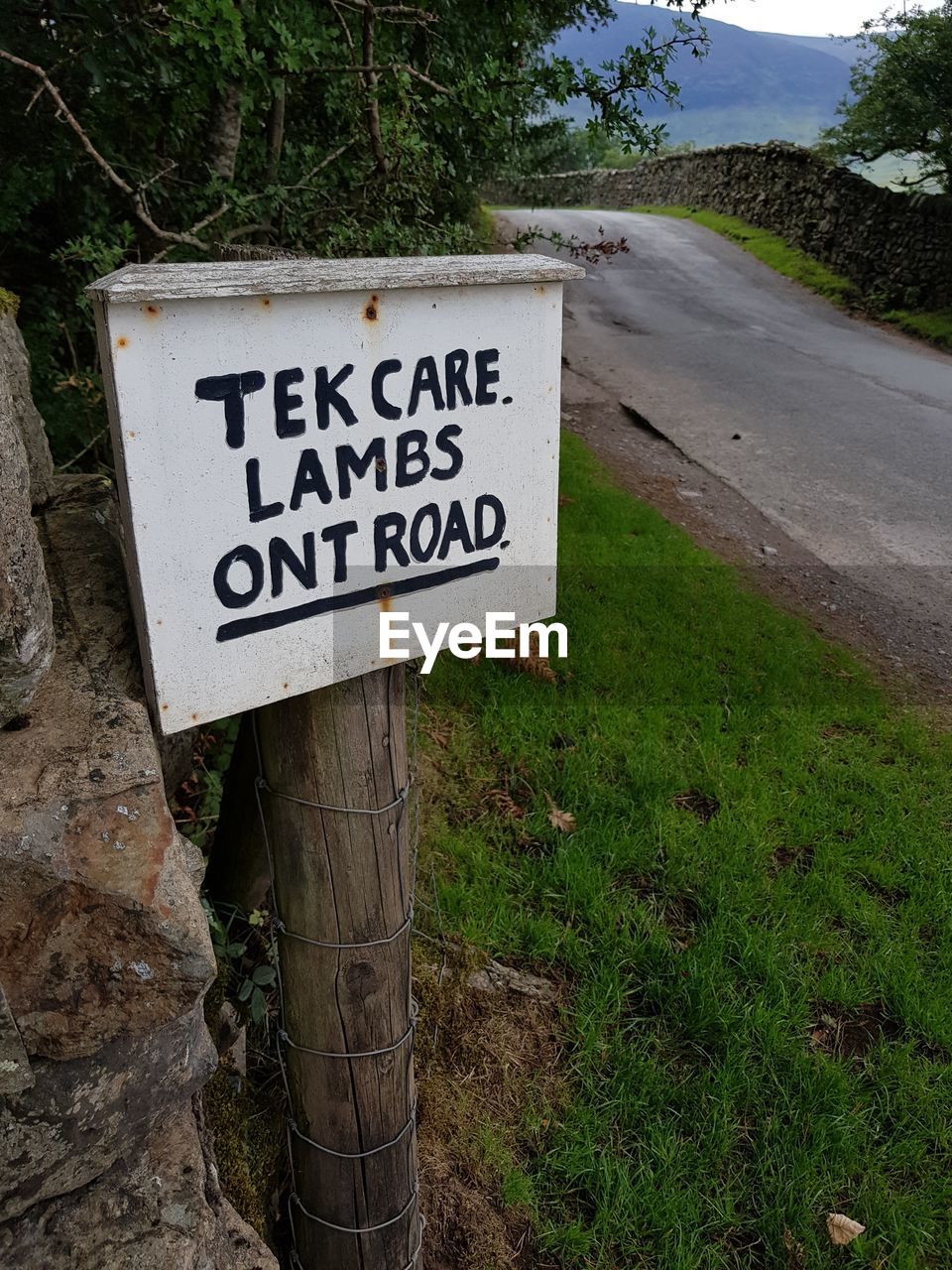 INFORMATION SIGN ON ROAD BY TREES