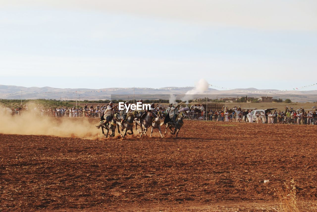 Traditional horse riding in algeria