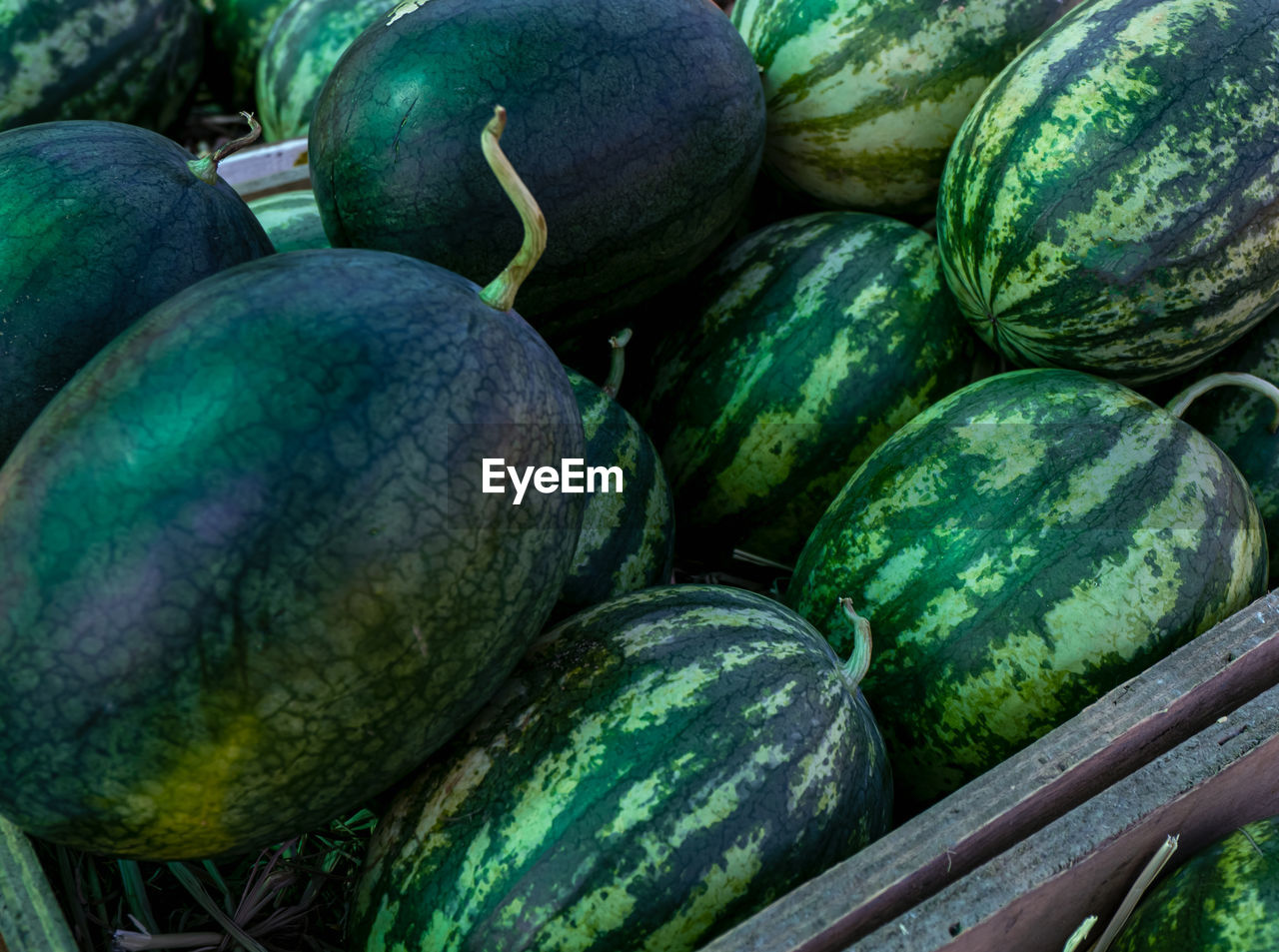 Closeup pile of green peel watermelons in the market. watermelon from an organic agriculture farm. 