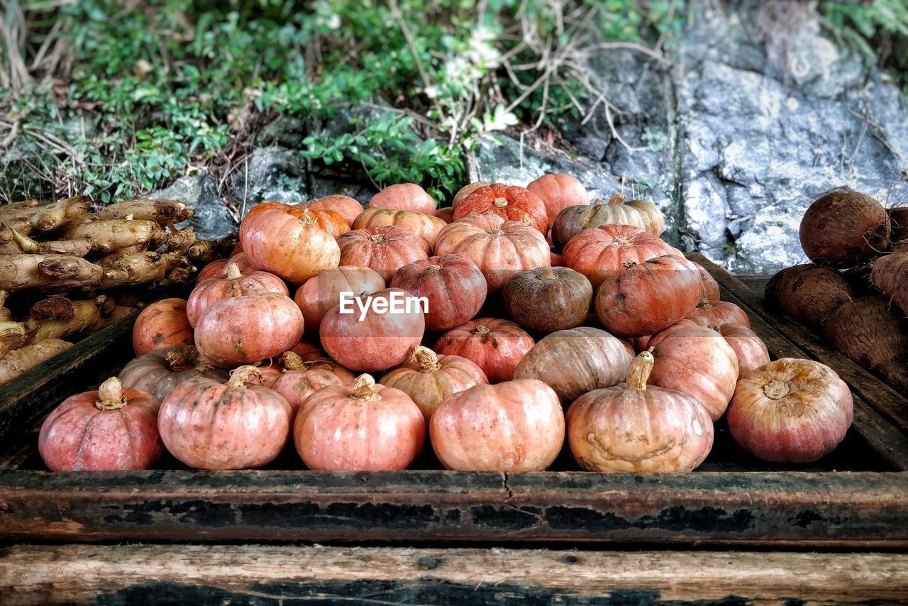 High angle view of fresh vegetables pumpkin