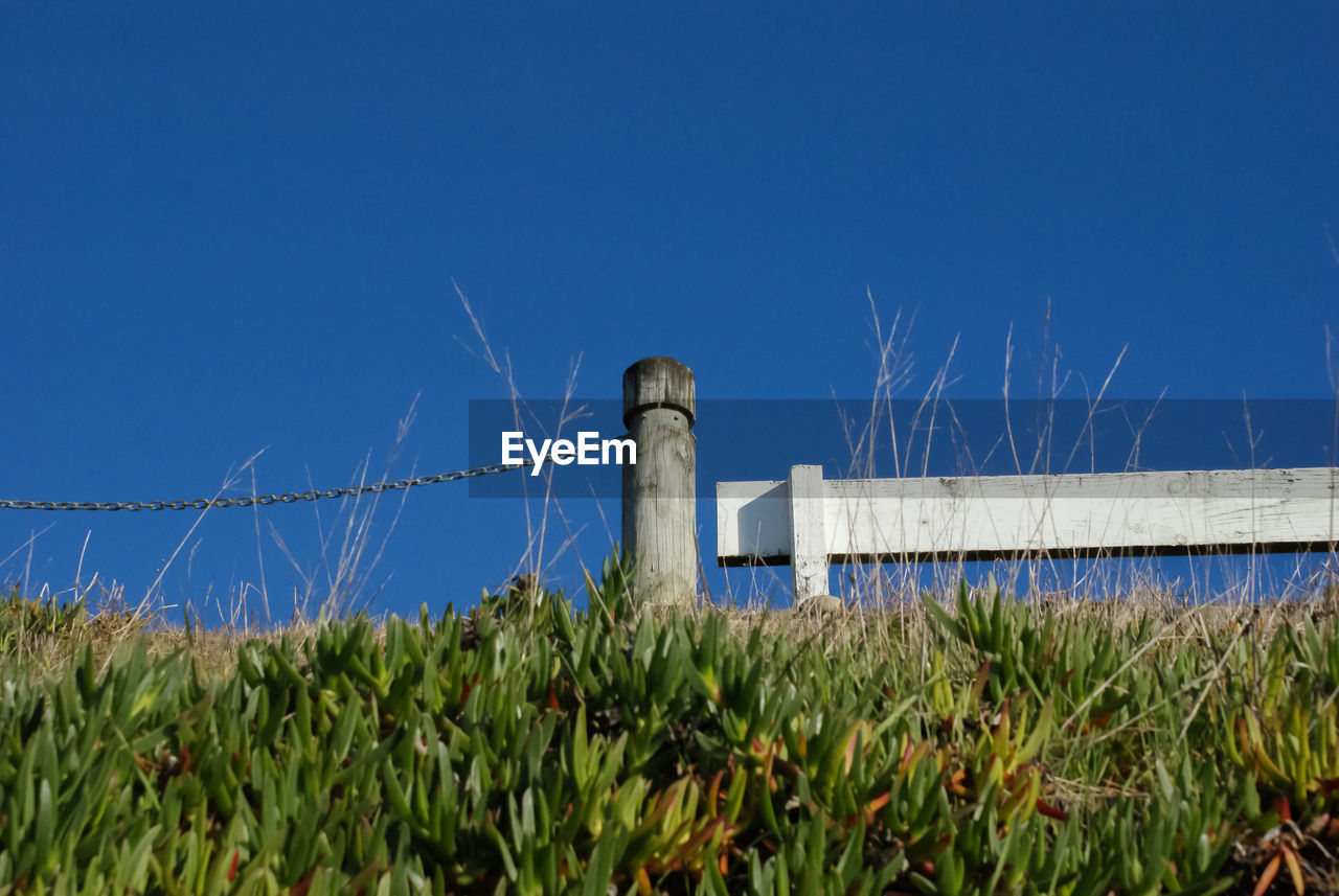 LOW ANGLE VIEW OF BARBED WIRE AGAINST CLEAR BLUE SKY