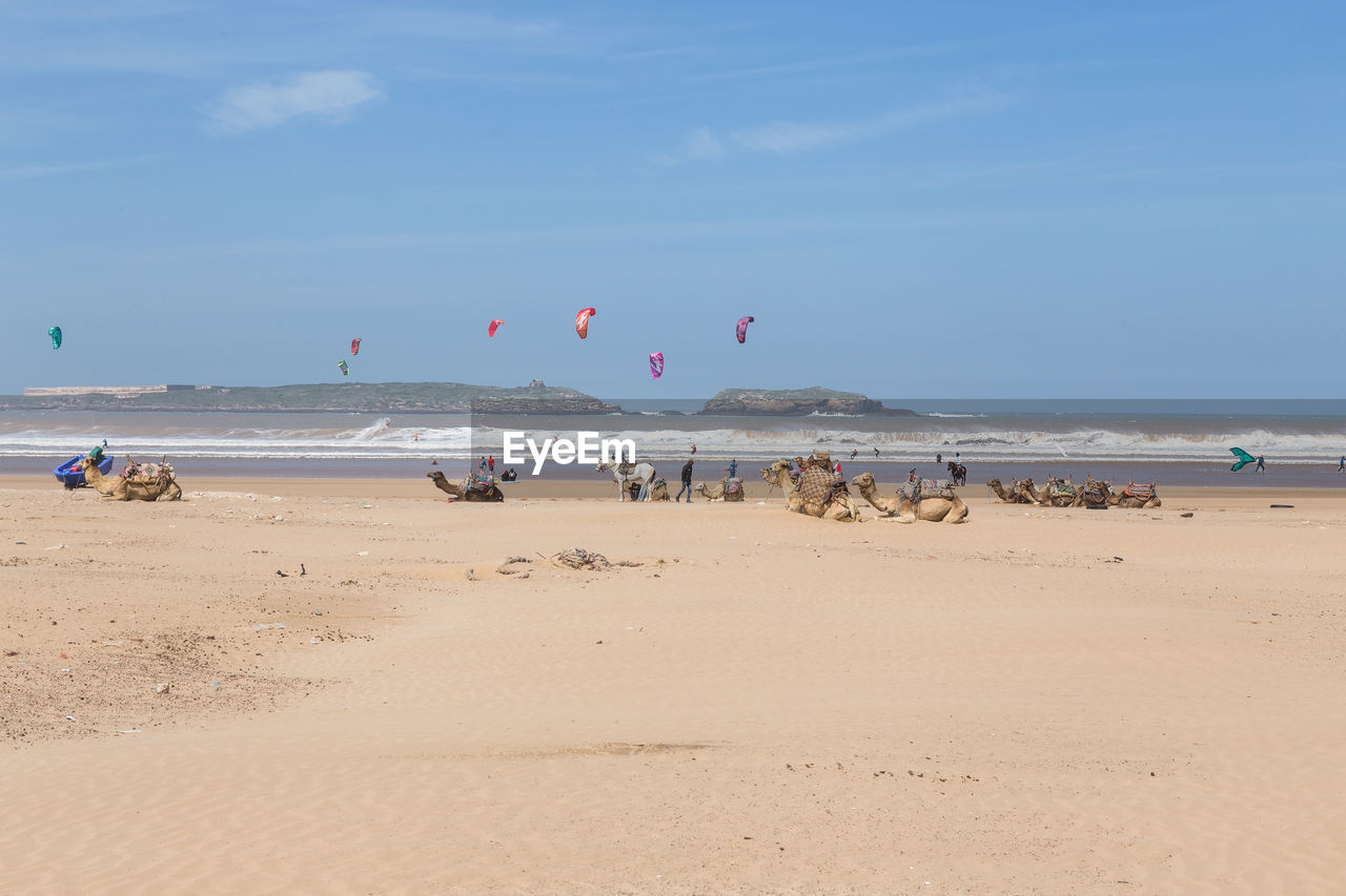 SCENIC VIEW OF BEACH