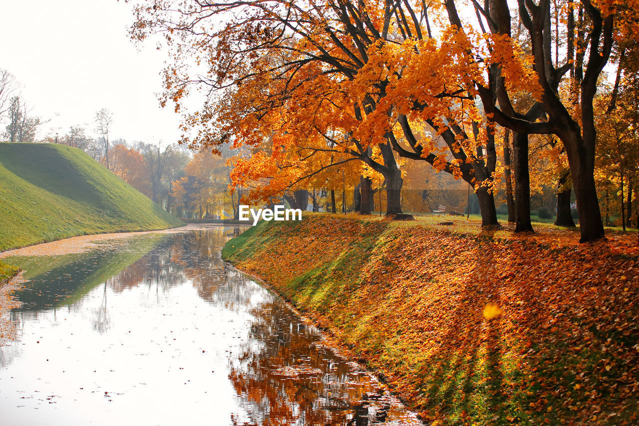 Reflection of trees on water during autumn