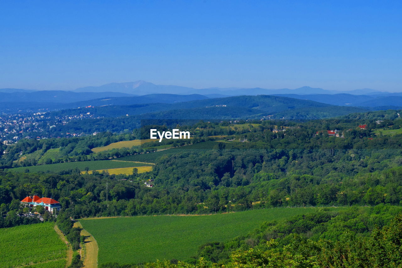 SCENIC VIEW OF RURAL LANDSCAPE