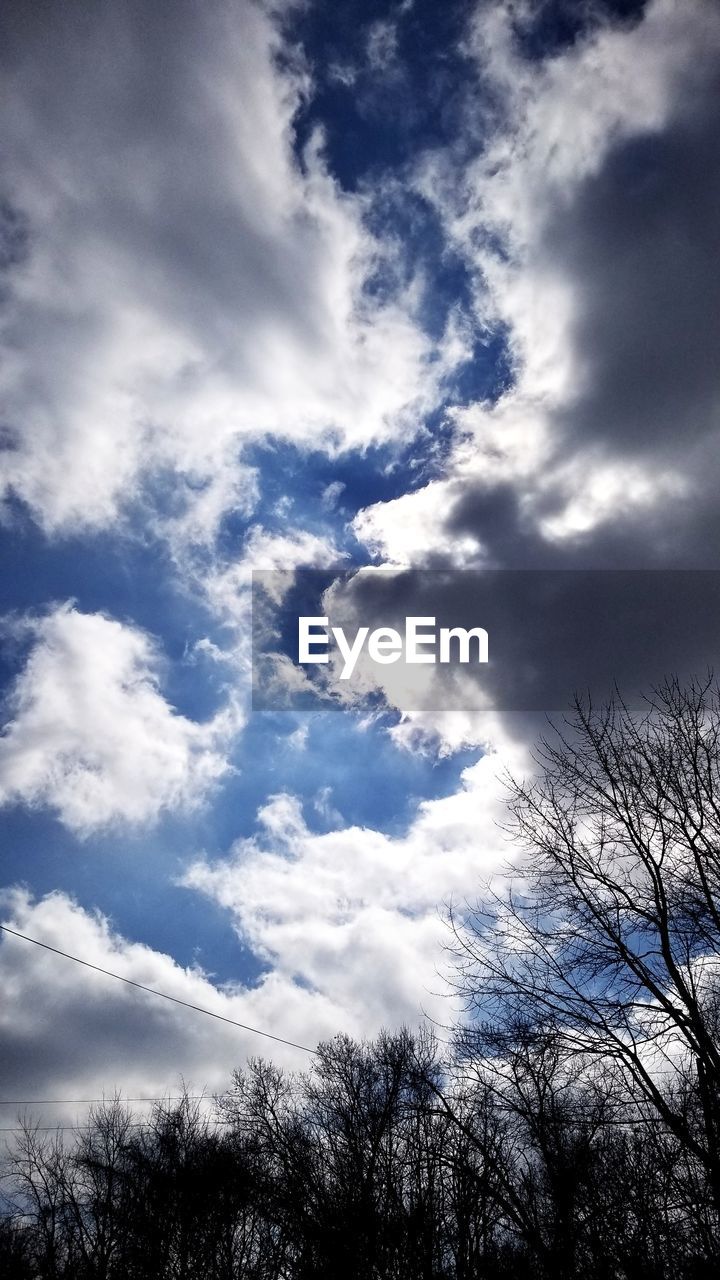 LOW ANGLE VIEW OF SILHOUETTE BARE TREES AGAINST CLOUDY SKY