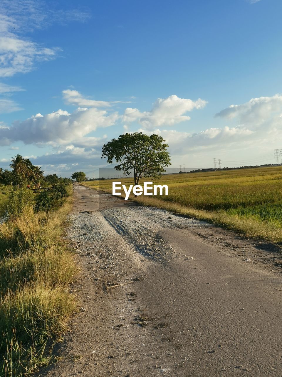 ROAD AMIDST FIELD AGAINST SKY