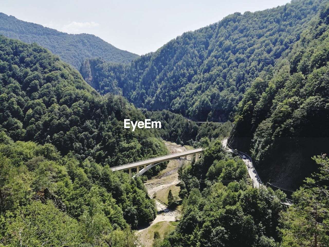 Scenic view of river in forest against sky