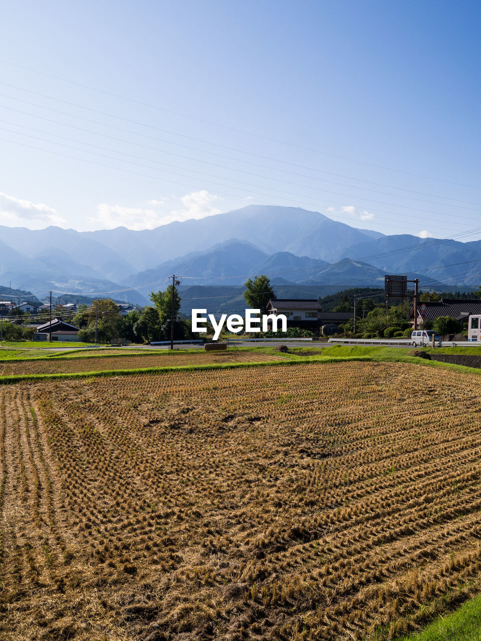 FIELD AGAINST SKY