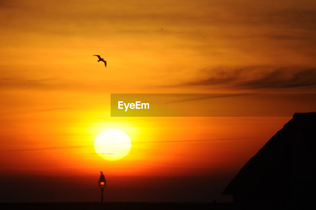 Silhouette bird flying against sky during sunset