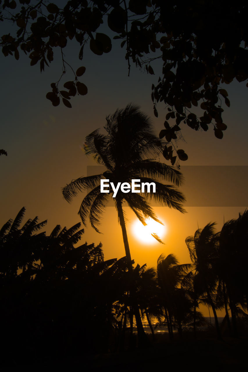 LOW ANGLE VIEW OF SILHOUETTE PALM TREES AGAINST SUNSET SKY