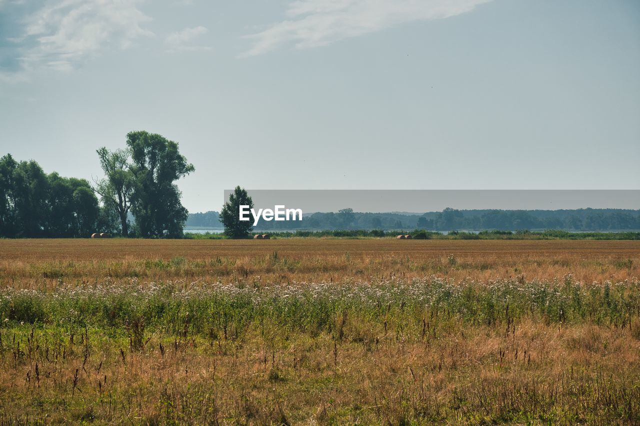 SCENIC VIEW OF FARM FIELD AGAINST SKY