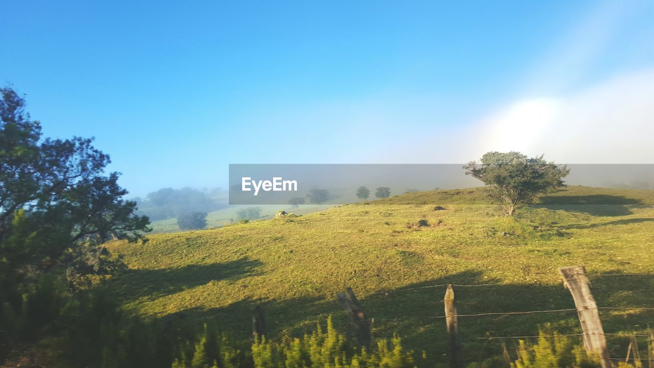 Low angle view of trees on landscape against sky