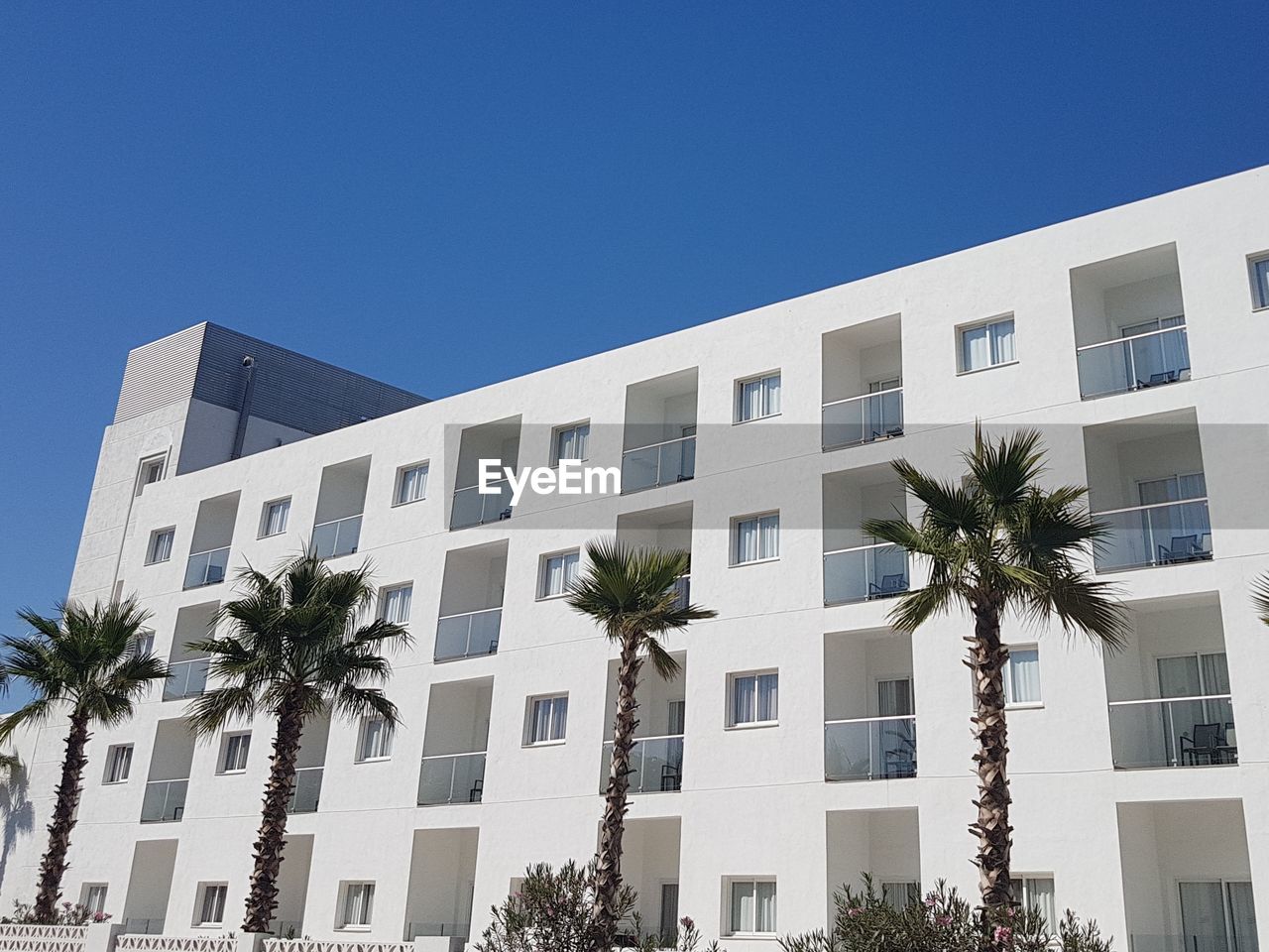 LOW ANGLE VIEW OF PALM TREE AND BUILDING AGAINST CLEAR SKY