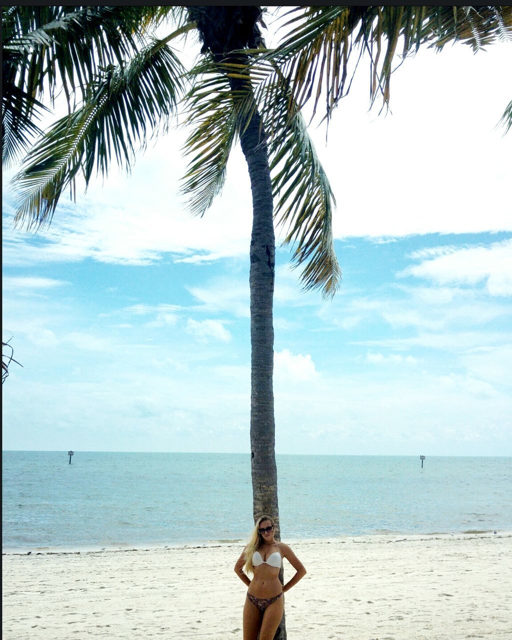 Beautiful woman standing by coconut palm tree at beach against sky