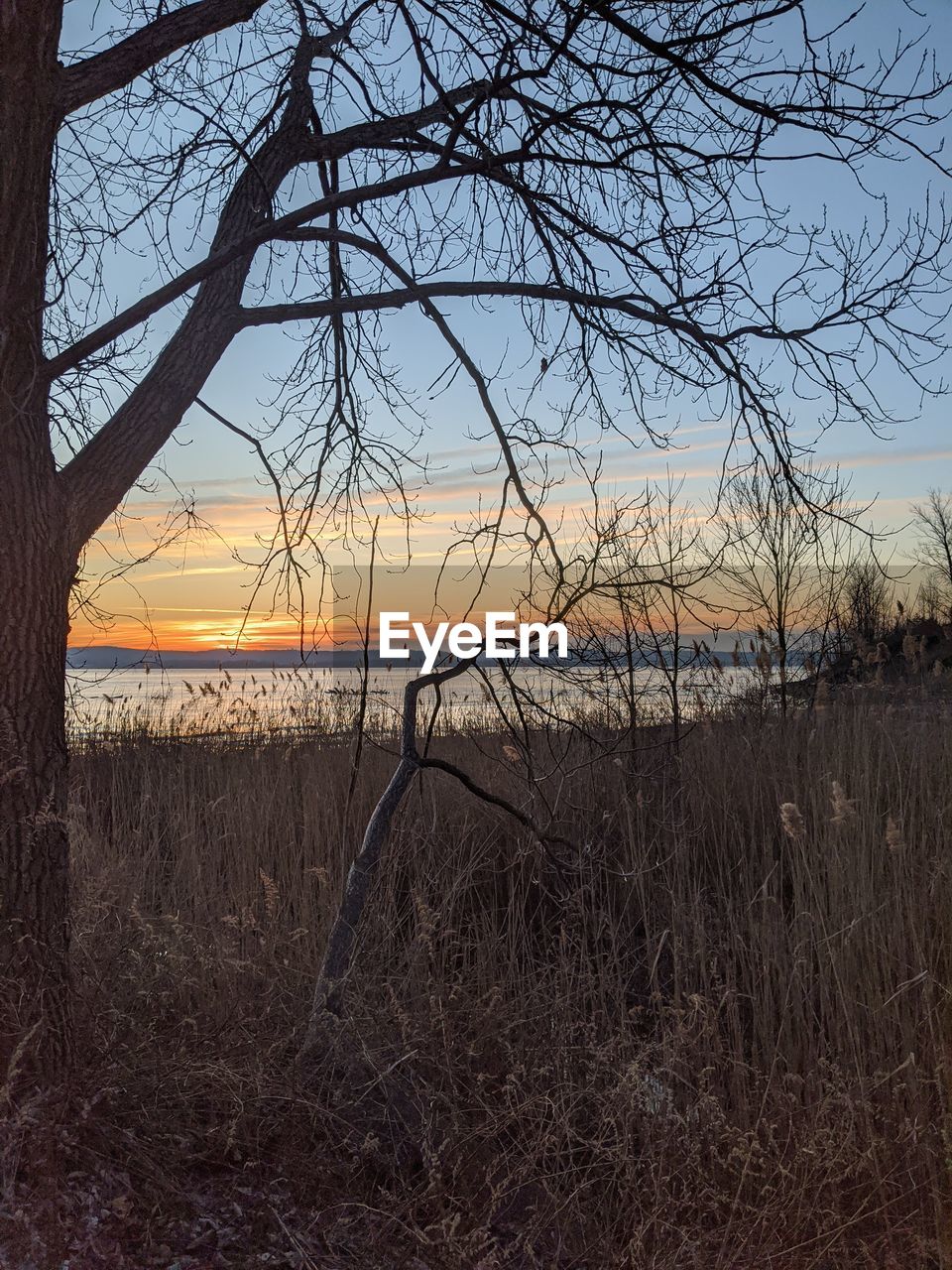 SCENIC VIEW OF BEACH AGAINST SKY DURING SUNSET