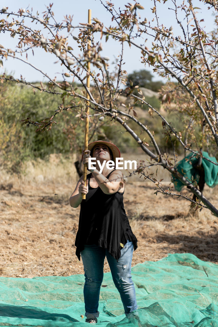 Portrait of a female farmer harvesting almonds by hand.