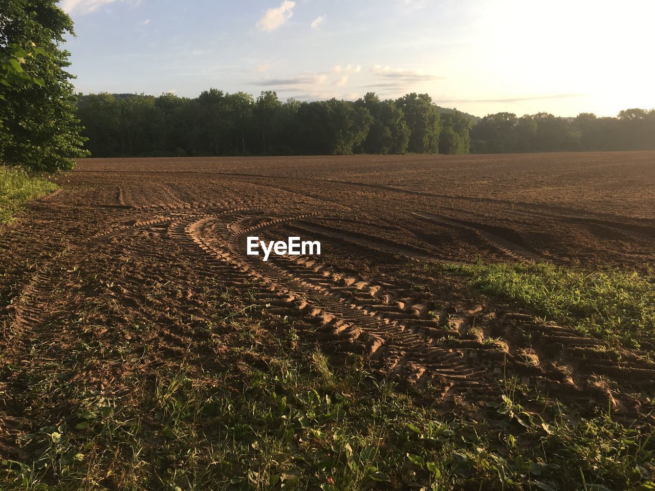 SCENIC VIEW OF AGRICULTURAL LANDSCAPE AGAINST SKY