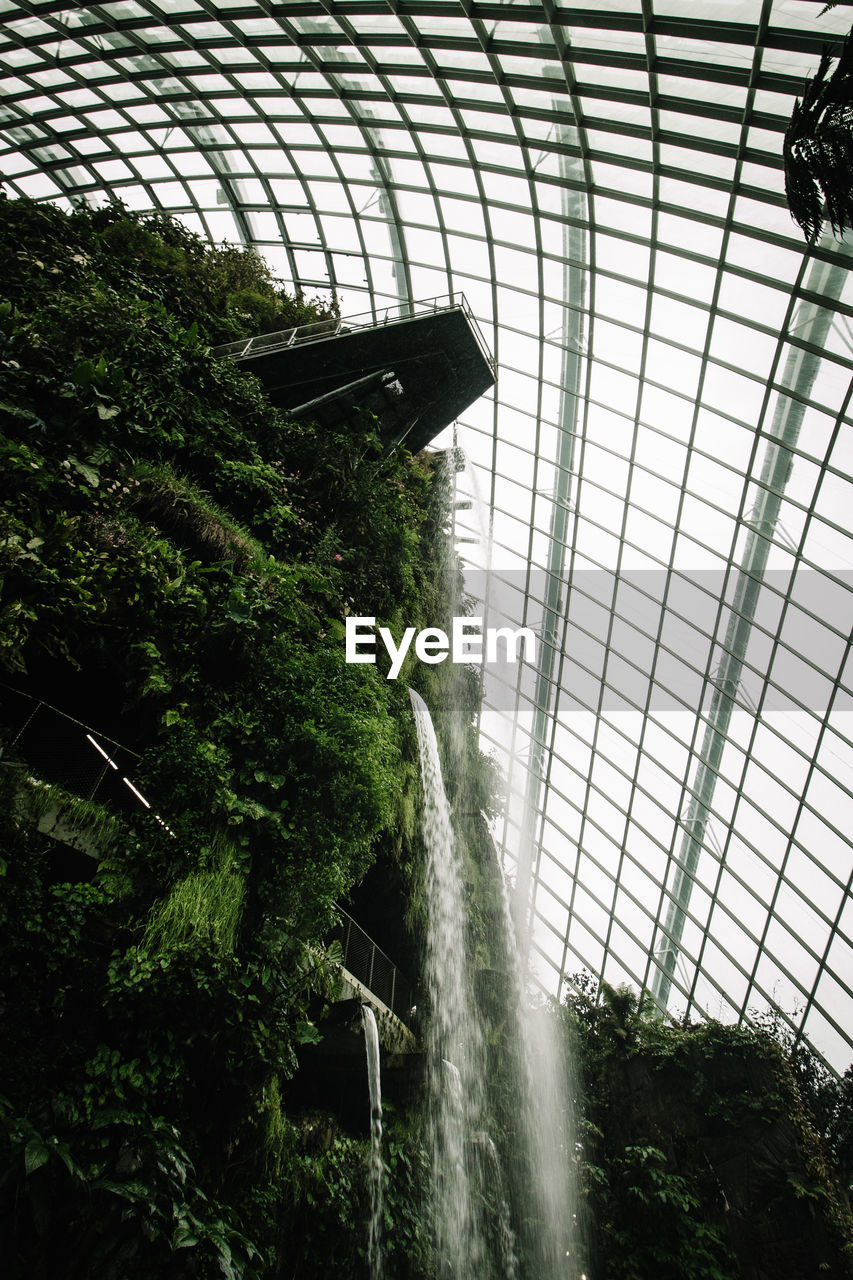 LOW ANGLE VIEW OF WATERFALL THROUGH TREES