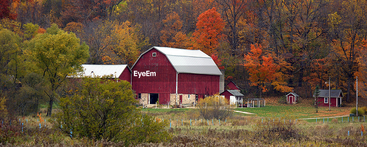 Houses against trees on field during autumn