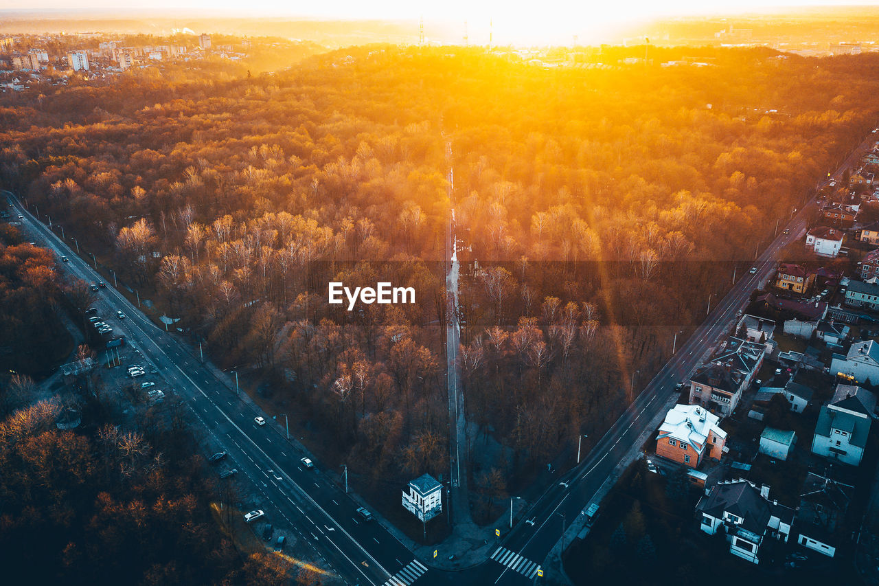 Aerial view of trees and cityscape at sunset