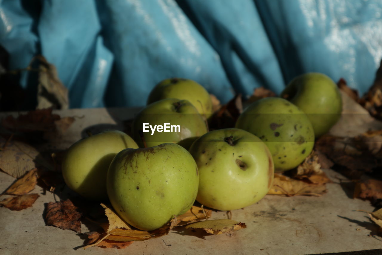 CLOSE-UP OF APPLES