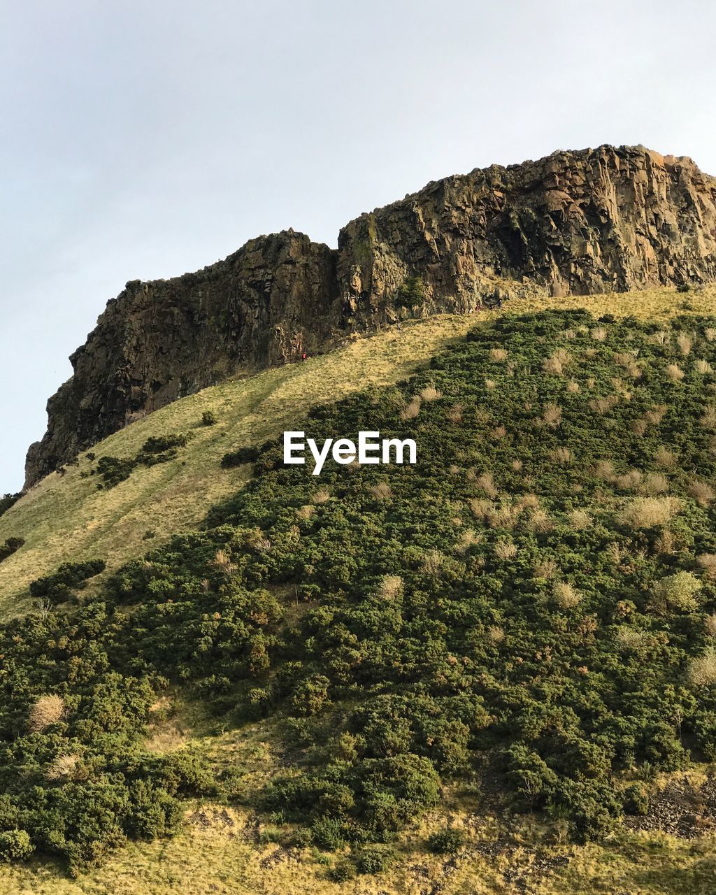 Scenic view of mountain against clear sky