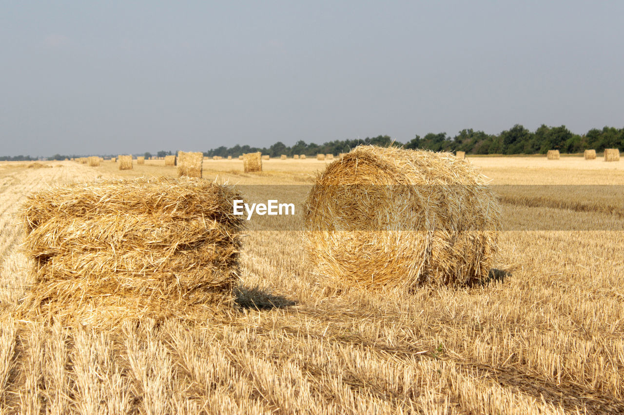 Hay bales on field against sky