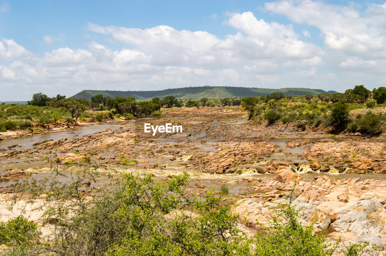 Galana river, tsavo east national park, kenya, east africa, africa