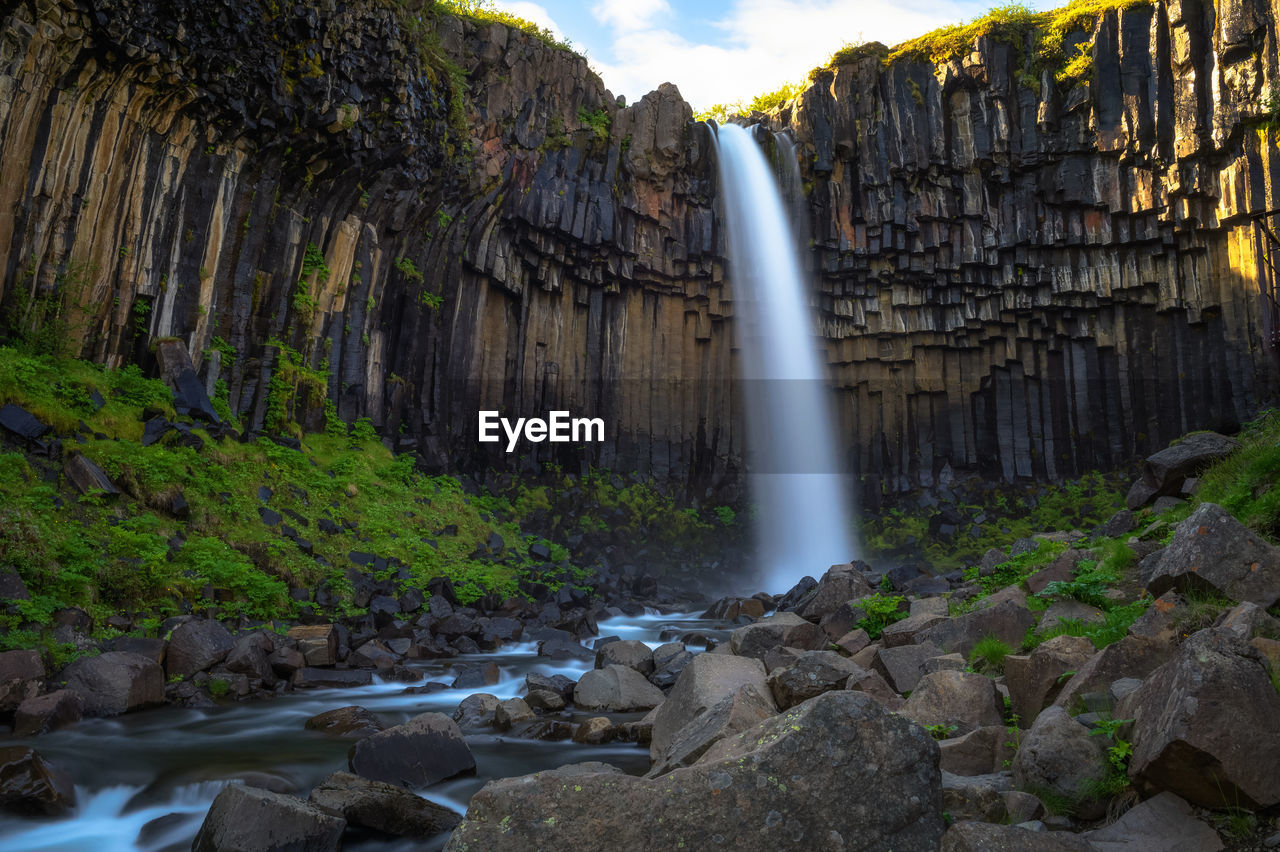 waterfall in forest